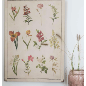 Planche botaniske motiver