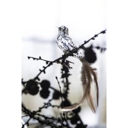 Fugl med fjer og clips