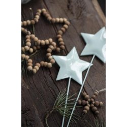 Stjerne med langt spyd