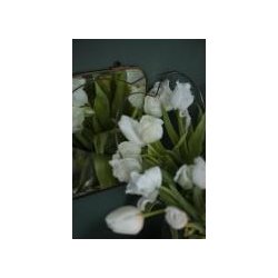 Hjerte med dobbelt spyd