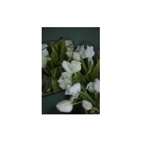 Hjerte med dobbelt spyd