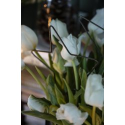 Stjerne med dobbelt spyd