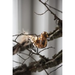 Fugl med fjer og clips