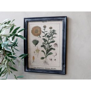Billede med blomster motiv & sort ramme