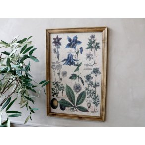 Billede med plantemotiv og naturramme