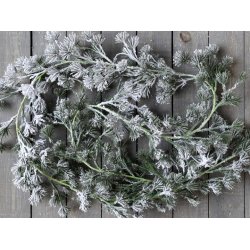 Fleur cedertrsranke med sne