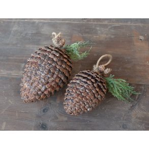 Fleur kogle m. glimmer