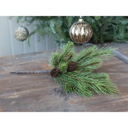 Fleur grangren m. kogler