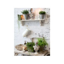 Gammeldags mlkekande til dekoration fra Chic Antique