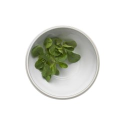 Knabstrup Keramik Dejfadsst - Mini 2 stk. - Hvid