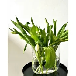 Lily  taskevase i glas