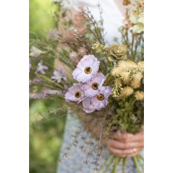 Stilk nude/grnne nuancer 