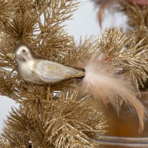 Glasfugl fra La Vida