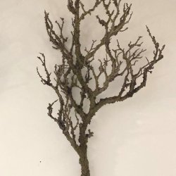 Kunstig gren fra La Vida