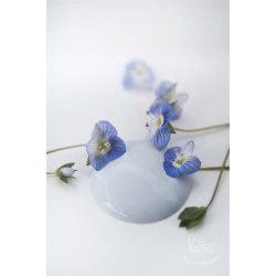 Vintage paint 100 ml,  kalkmaling