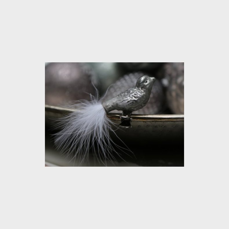 Shipley Udfyld Shaded Fugl med fjer og glimmer fra Chic Antique - Pynt & Dekorationer - Lene  Blinkenberg