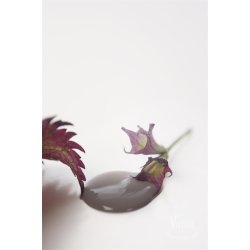 Vintage paint 100 ml,  kalkmaling