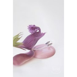 Vintage Paint 700 ml  kalkmaling