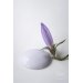 Faded lavender 