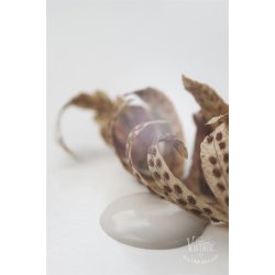 Vintage paint 100 ml,  kalkmaling