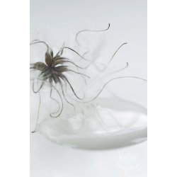 Vintage Paint 700 ml  kalkmaling