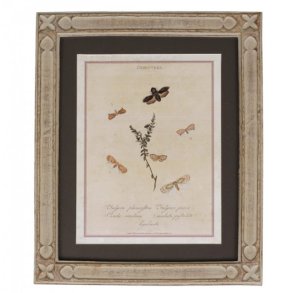 Gammel fransk ramme med motiv