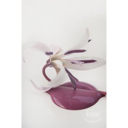 Vintage paint 100 ml,  kalkmaling